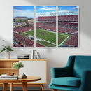Florida Tampa Raymond James Stadium Wall Art Canvas Print -
