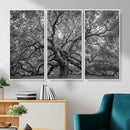 Majestic Angel Oak Tree Black and White Canvas Print – Multi by MyGreatCanvas | Canvas Wall Art Prints | Photo Prints & Wall Decor