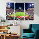 NC State Wolfpack Canvas Print - Raleigh Carter-Finley