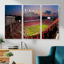 NC State Wolfpack Football Team Print - Raleigh