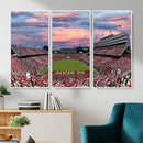 Carter-Finley Stadium Art Sunset Game Triple Canvas Wall Art