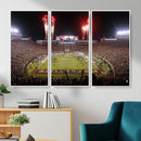 Framed Florida State Seminoles Football Team Print -