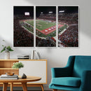 Houston Cougars Football Team Print - Houston TDECU Stadium