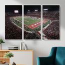 Houston Cougars Football Team Print - Houston TDECU Stadium