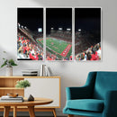 Houston Cougars Football Team Print - Houston TDECU Stadium