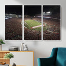 Wisconsin Badgers Football Team Print - Madison Camp Randall