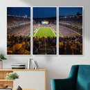 Pittsburgh Panthers Football Team Print - Pittsburgh