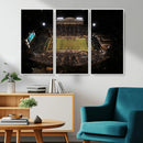 Wake Forest University Demon Deacons Canvas Printi, Football