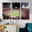 University of Louisville Cardinals Football Team Print -