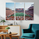 Framed Texas Memorial Stadium Canvas, University of Texas