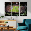 Florida Atlantic University Owls Football Team Print - Boca by MyGreatCanvas | Canvas Wall Art Prints | Photo Prints & Wall Decor
