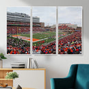 University of Illinois Fighting Illini Football Team Print -