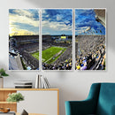 Framed USF Bulls Football Team Print - Tampa Raymond James