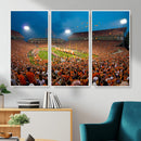 Clemson University Tigers Football Team Print - Clemson