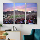 Indiana University Hoosiers Football Team Print -
