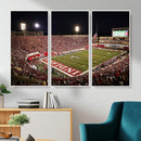 Indiana University Hoosiers Football Team Print Canvas -