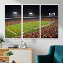 Iowa State University Cyclones Football Team Print - Ames