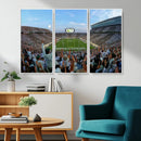 Michigan State Spartans Football Team Art Print - East