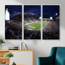 Michigan State Spartans Canvas, Framed Football Team Print -