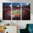 Ohio State University Buckeyes Football Team Print -