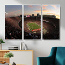 Ohio State University Buckeyes Football Team Print -