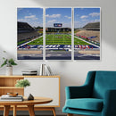 Rice University Owls Football Team Print - Houston Rice by MyGreatCanvas | Canvas Wall Art Prints | Photo Prints & Wall Decor