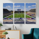 Rice University Owls Football Team Print - Houston Rice