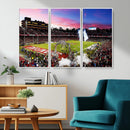 Stanford University Cardinal Football Team Print - Stanford