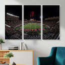 Framed Texas Tech Red Raiders Stadium Canvas, Texas Tech Red