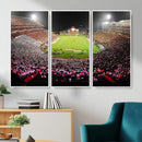 University of Maryland Terrapins Football Team Print -