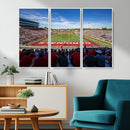 Ball State Cardinals Football Team Print - Muncie Scheumann