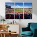 Ball State Cardinals Football Team Print - Muncie Scheumann