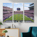 TCU Horned Frogs Football Team Print - Fort Worth Amon G.