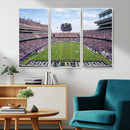 TCU Horned Frogs Football Team Print - Fort Worth Amon G.