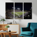 TCU Horned Frogs Football Team Print - Fort Worth Amon G.