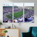 The Texas Christian University TCU Horned Frogs Football
