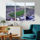 The Texas Christian University TCU Horned Frogs Football