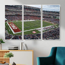 The Temple University Owls Athletics Team Print -