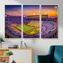 The Louisiana State University Tigers Football Team Print -