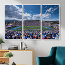 Air Force Falcons Football Team Print - Colorado Springs
