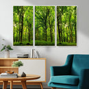Lush Green Forest Canvas Print | 3-Panel Forest Wall Art | by MyGreatCanvas | Canvas Wall Art Prints | Photo Prints & Wall Decor