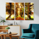 Sunshine in Forest and Trees Wall Art Canvas Print by MyGreatCanvas | Canvas Wall Art Prints | Photo Prints & Wall Decor