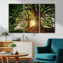 Majestic Ancient Tree Wall Art, NatureCanvas Print, Woodland by MyGreatCanvas | Canvas Wall Art Prints | Photo Prints & Wall Decor
