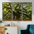 Angel Oak Tree Wall Art Canvas Print | Forest Tree Nature