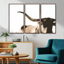 Texas Longhorn Wall Art Canvas Print | 3-Panel Large