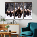 Bison Wall Art Canvas Print- Bison Herd Canvas Wall Art –