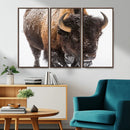 Bison Wall Art Canvas Print For Farmhouse, Wild Animal Wall by MyGreatCanvas | Canvas Wall Art Prints | Photo Prints & Wall Decor