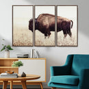 Bison in Field Wall Art Canvas Print For Farmhouse Barn