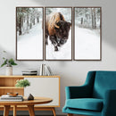 Bison Wall Art Canvas Print For Farmhouse, Animal Canvas
