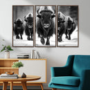 American Bison Art | Buffalo Herd Wall Art Canvas Print, BW